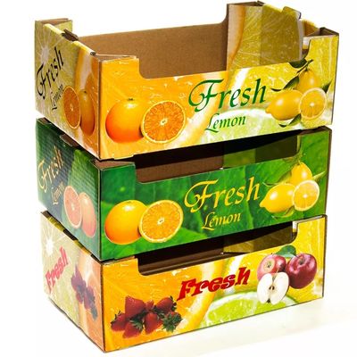 Плод картона OEM складывая и размер Veg подгонянный коробками