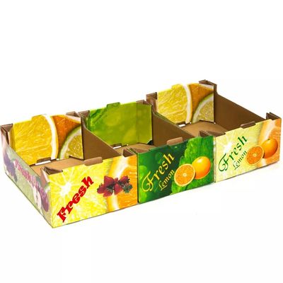 Плод картона OEM складывая и размер Veg подгонянный коробками